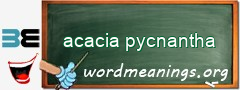 WordMeaning blackboard for acacia pycnantha